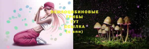 меф Переславль-Залесский