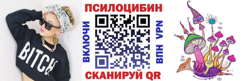 купить Сальск KRAKEN зеркало Галлюциногенные грибы прущие грибы
