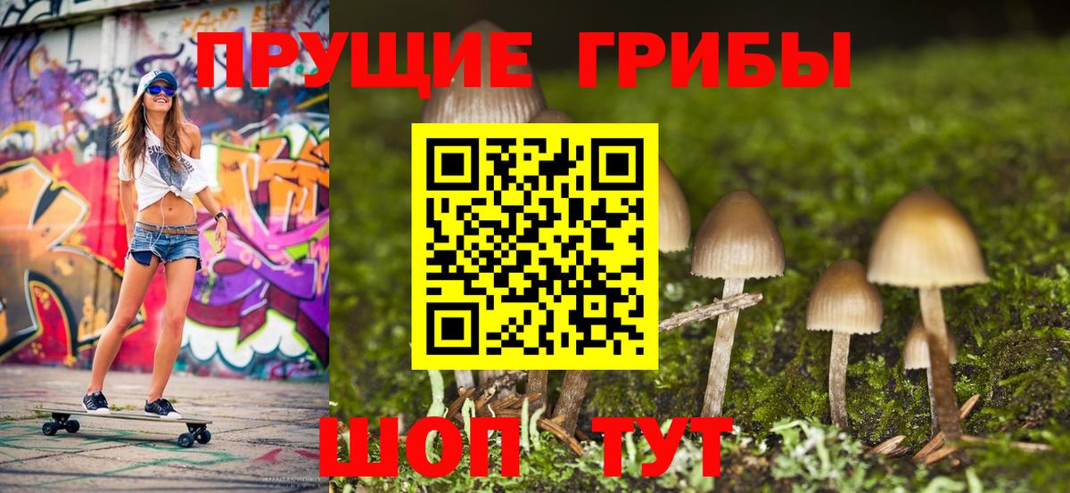 Сальск  Галлюциногенные грибы Psilocybe  как найти закладки  Вход с VPN 