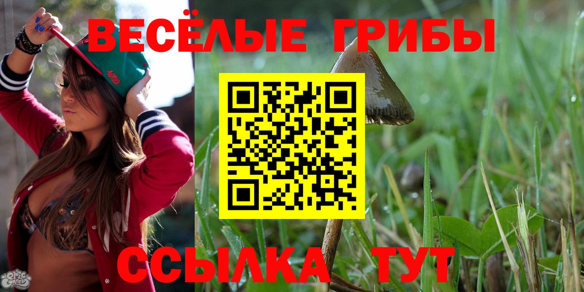Галлюциногенные грибы Cubensis Сальск